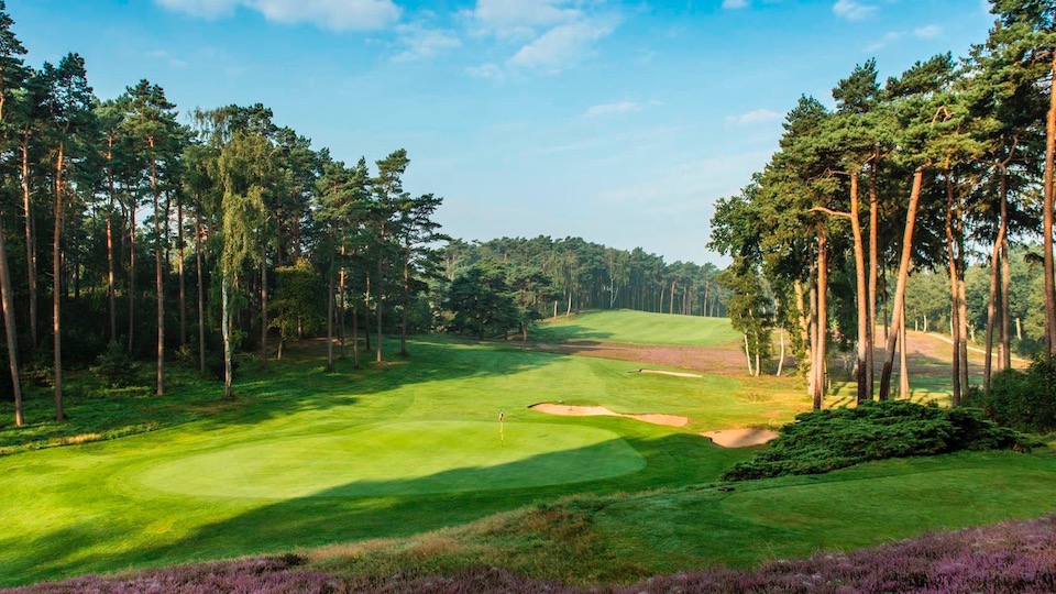 Diesen Platz müssen Sie spielen! Der Hamburger Golf-Club Falkenstein gilt als Nonplusultra. 